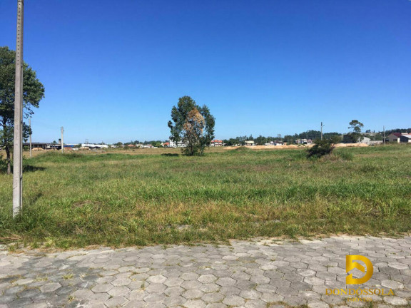 Imagem Terreno à Venda, 367 m² em Palladini - Morro Da Fumaça