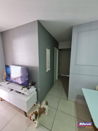 Imagem Apartamento com 3 Quartos à Venda, 70 m² em Vila Siqueira (zona Norte) - São Paulo Imagem Apartamento com 3 Quartos à Venda, 70 m² em Vila Siqueira (zona Norte) - São Paulo