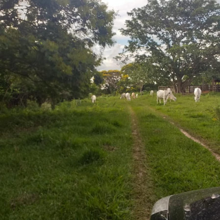 Imagem Fazenda à Venda, 179 m² em Rural - Garça