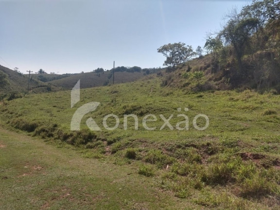Imagem Fazenda à Venda, 100 m² em Monte Belo - Taubaté Imagem Fazenda à Venda, 100 m² em Monte Belo - Taubaté