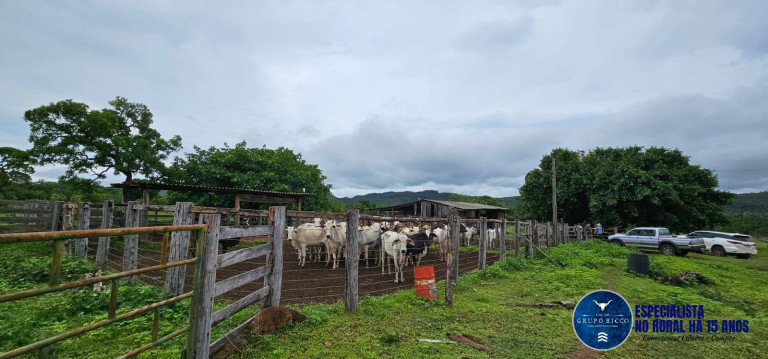 Imagem Fazenda à Venda, 37 m² em Zona Rural - Jussara Imagem Fazenda à Venda, 37 m² em Zona Rural - Jussara