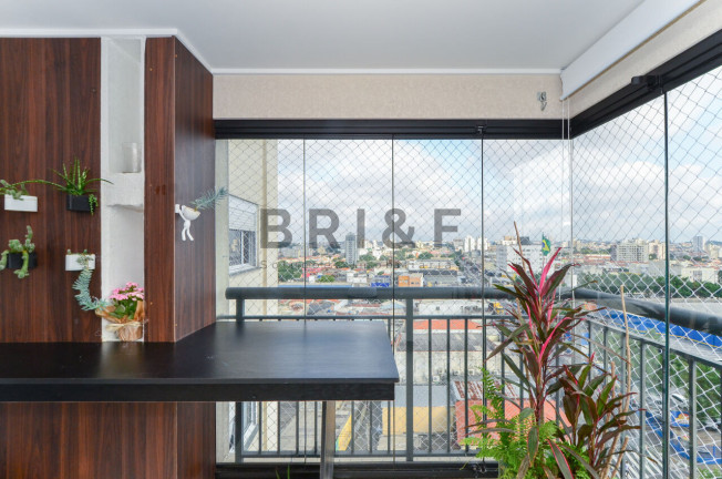 Imagem Apartamento com 2 Quartos à Venda, 67 m² em Vila Mascote - São Paulo Imagem Apartamento com 2 Quartos à Venda, 67 m² em Vila Mascote - São Paulo