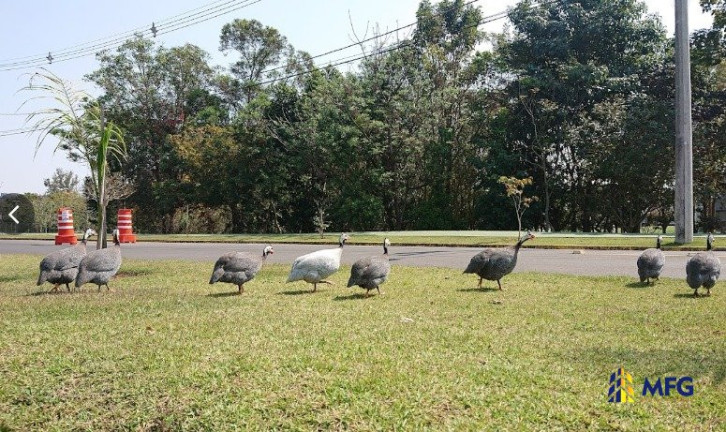 Imagem Casa de Condomínio com 3 Quartos à Venda, 250 m² em Condomínio Lago Da Serra - Araçoiaba Da Serra Imagem Casa de Condomínio com 3 Quartos à Venda, 250 m² em Condomínio Lago Da Serra - Araçoiaba Da Serra