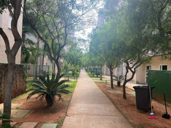 Imagem Apartamento com 2 Quartos à Venda, 55 m² em Condomínio Mais Campos Sales - Valinhos Imagem Apartamento com 2 Quartos à Venda, 55 m² em Condomínio Mais Campos Sales - Valinhos