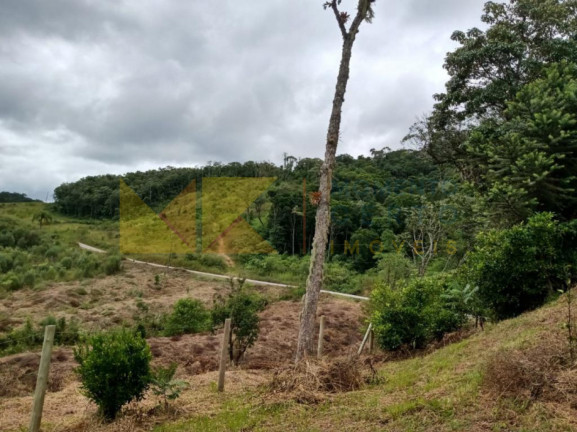 Imagem Fazenda à Venda, 64.288 m² em Barra Avencal - Rio Dos Cedros