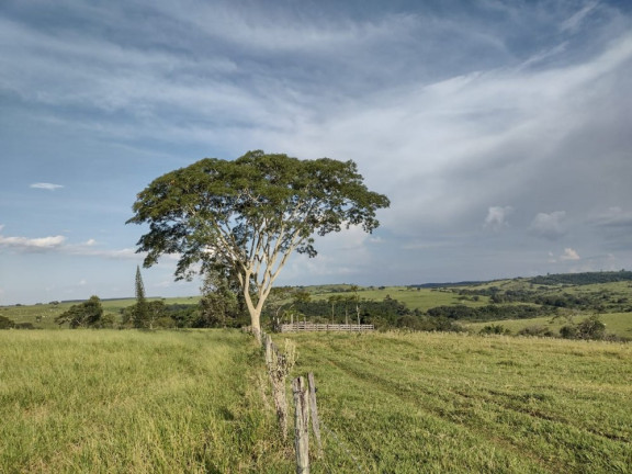 Imagem Imóvel à Venda, 10 m² em área Rural De Avaí - Avaí Imagem Imóvel à Venda, 10 m² em área Rural De Avaí - Avaí