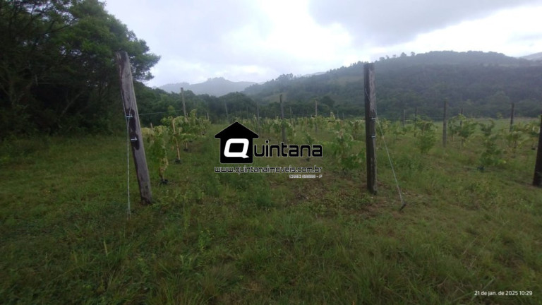 Imagem Imóvel com 4 Quartos à Venda, 380.000 m² em Cascata - Pelotas Imagem Imóvel com 4 Quartos à Venda, 380.000 m² em Cascata - Pelotas