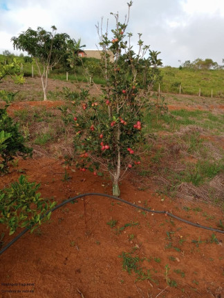Imagem Imóvel com 2 Quartos à Venda, 90 m² em Zona Rural - Caldas Imagem Imóvel com 2 Quartos à Venda, 90 m² em Zona Rural - Caldas