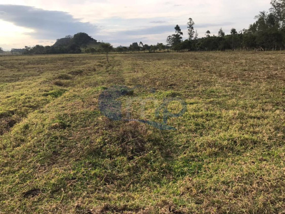 Imagem Fazenda à Venda, 120.000 m² em Jacaré - Torres