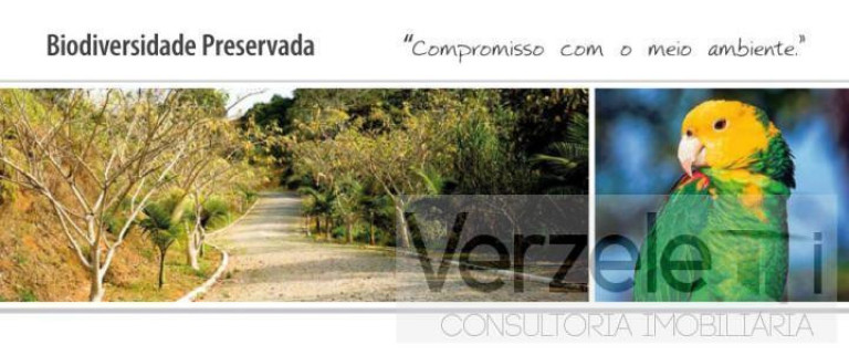 Imagem Terreno à Venda, 562 m² em Praia Brava De Itajaí - Itajaí Imagem Terreno à Venda, 562 m² em Praia Brava De Itajaí - Itajaí