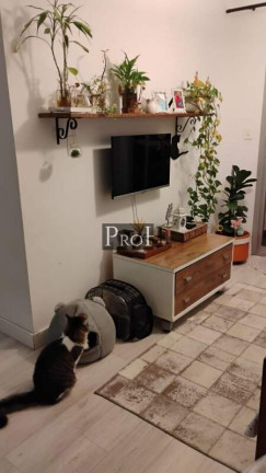 Imagem Apartamento com 2 Quartos à Venda, 55 m² em Jardim Do Estádio - Santo André Imagem Apartamento com 2 Quartos à Venda, 55 m² em Jardim Do Estádio - Santo André