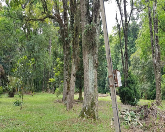 Imagem Imóvel à Venda, 4.604 m² em Linha Imperial - Nova Petrópolis Imagem Imóvel à Venda, 4.604 m² em Linha Imperial - Nova Petrópolis