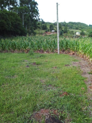 Imagem Chácara à Venda, em Lagoa Dos Barros - Santo Antônio Da Patrulha Imagem Chácara à Venda, em Lagoa Dos Barros - Santo Antônio Da Patrulha