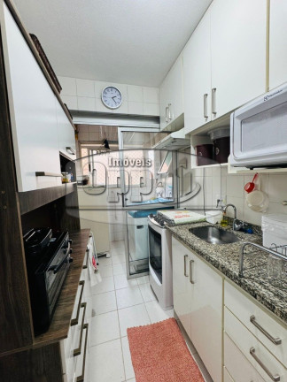 Imagem Apartamento com 3 Quartos à Venda, em Cambuci - São Paulo Imagem Apartamento com 3 Quartos à Venda, em Cambuci - São Paulo