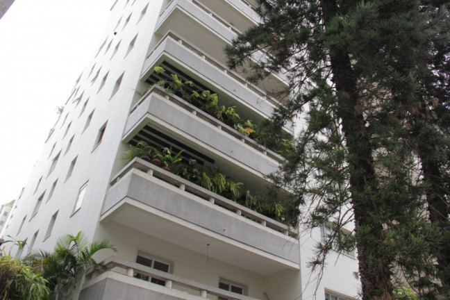 Imagem Imóvel com 3 Quartos à Venda, 295 m² em Higienópolis - São Paulo Imagem Imóvel com 3 Quartos à Venda, 295 m² em Higienópolis - São Paulo