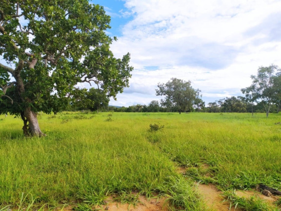 Imagem Chácara à Venda, 9 m² em Zona Rural - Iporá Imagem Chácara à Venda, 9 m² em Zona Rural - Iporá