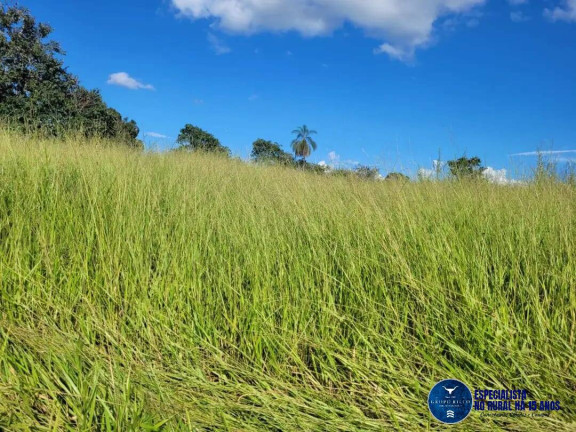 Imagem Chácara à Venda, 15 m² em Zona Rural - Palmeiras De Goiás Imagem Chácara à Venda, 15 m² em Zona Rural - Palmeiras De Goiás