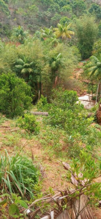 Imagem Chácara à Venda, 30.000 m² em Santa Maria De Marechal - Marechal Floriano
