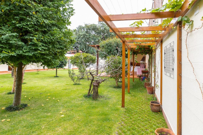 Imagem Casa com 1 Quarto à Venda, 509 m² em Alto De Pinheiros - São Paulo Imagem Casa com 1 Quarto à Venda, 509 m² em Alto De Pinheiros - São Paulo
