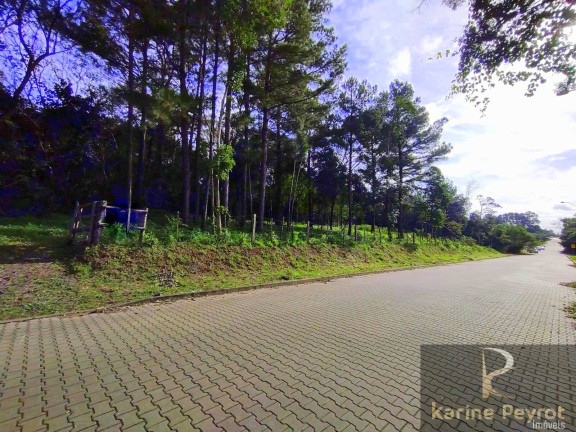 Imagem Terreno à Venda, 300 m² em Campestre - São Leopoldo