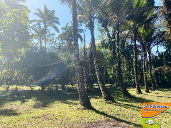 Imagem Chácara com 1 Quarto à Venda, 100 m² em Ubatumirim - Ubatuba Imagem Chácara com 1 Quarto à Venda, 100 m² em Ubatumirim - Ubatuba