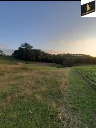 Imagem Imóvel com 4 Quartos à Venda, 30.250 m² em área Rural Lapa - Lapa Imagem Imóvel com 4 Quartos à Venda, 30.250 m² em área Rural Lapa - Lapa