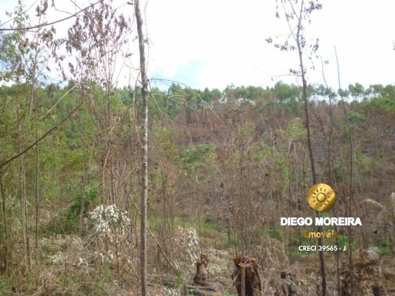 Imagem Terreno à Venda, 2 m² em Mato Dentro - Mairiporã Imagem Terreno à Venda, 2 m² em Mato Dentro - Mairiporã
