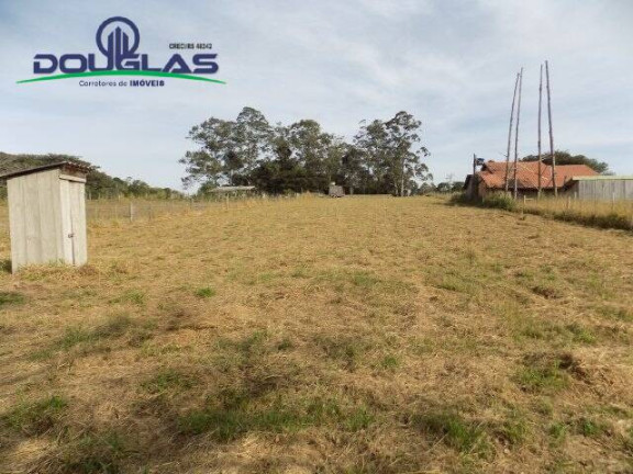 Imagem Chácara à Venda, 5.000 m² em Viamão