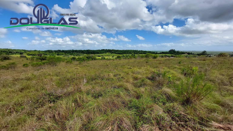 Imagem Chácara à Venda, 20.000 m² em águas Claras - Viamão