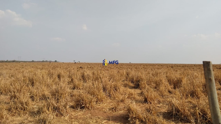 Imagem Chácara à Venda, em União - União Imagem Chácara à Venda, em União - União