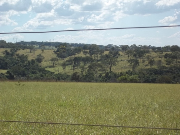 Imagem Fazenda à Venda, 222 m² em Zona Rural - Professor Jamil Imagem Fazenda à Venda, 222 m² em Zona Rural - Professor Jamil