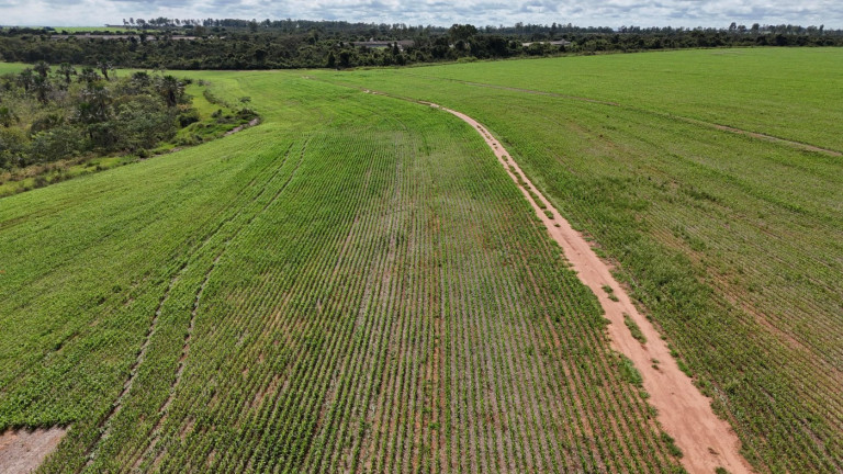 Imagem Fazenda à Venda, 195 m² em Zona Rural - Uberlândia Imagem Fazenda à Venda, 195 m² em Zona Rural - Uberlândia