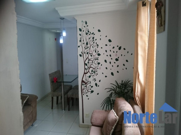 Imagem Apartamento com 2 Quartos à Venda, 50 m² em Vila Nova Cachoeirinha - São Paulo Imagem Apartamento com 2 Quartos à Venda, 50 m² em Vila Nova Cachoeirinha - São Paulo