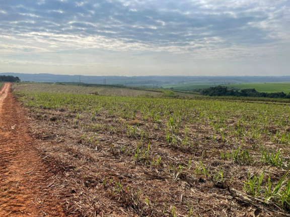 Imagem Fazenda à Venda, 303 m² em Rural - Itaí
