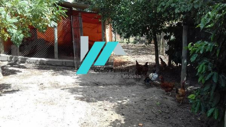Imagem Fazenda à Venda, 3.700 m² em Serra Negra - Betim Imagem Fazenda à Venda, 3.700 m² em Serra Negra - Betim