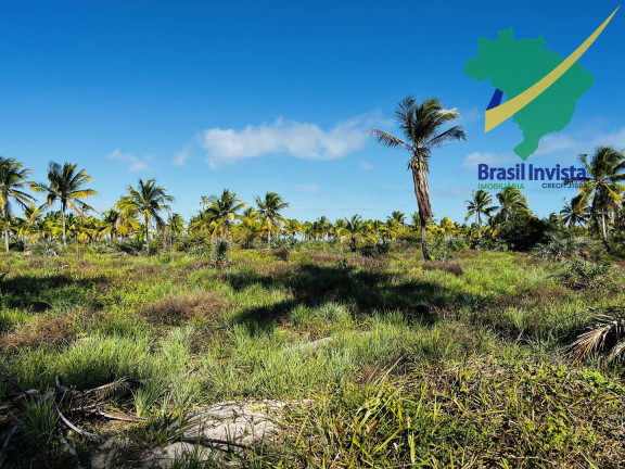 Imagem Terreno à Venda, em Santo André - Santa Cruz Cabrália Imagem Terreno à Venda, em Santo André - Santa Cruz Cabrália