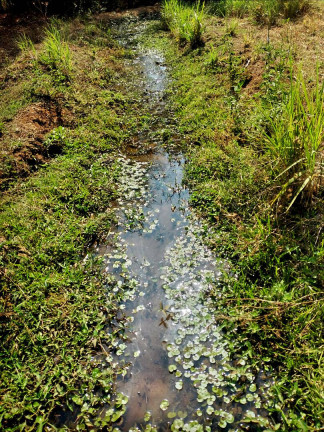 Imagem Chácara à Venda, 11 m² em Monte Santo De Minas Imagem Chácara à Venda, 11 m² em Monte Santo De Minas