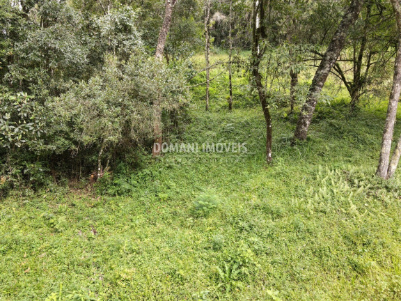 Imagem Terreno à Venda, 1.270 m² em Região Do Imbiri - Campos Do Jordão Imagem Terreno à Venda, 1.270 m² em Região Do Imbiri - Campos Do Jordão