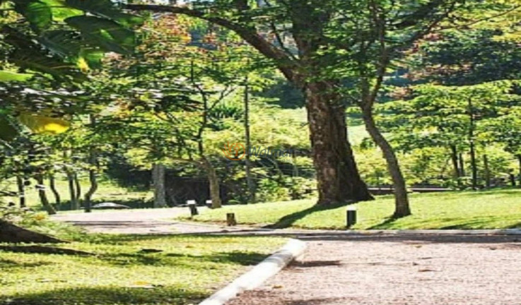 Imagem Terreno à Venda, 3.393 m² em Loteamento Alphaville Campinas - Campinas Imagem Terreno à Venda, 3.393 m² em Loteamento Alphaville Campinas - Campinas