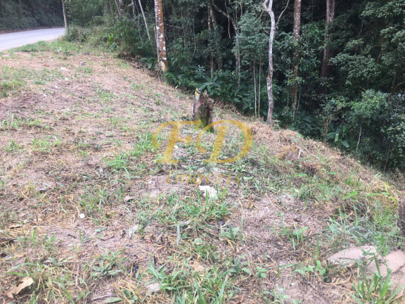 Imagem Terreno à Venda, 300 m² em Mato Dentro - Mairiporã