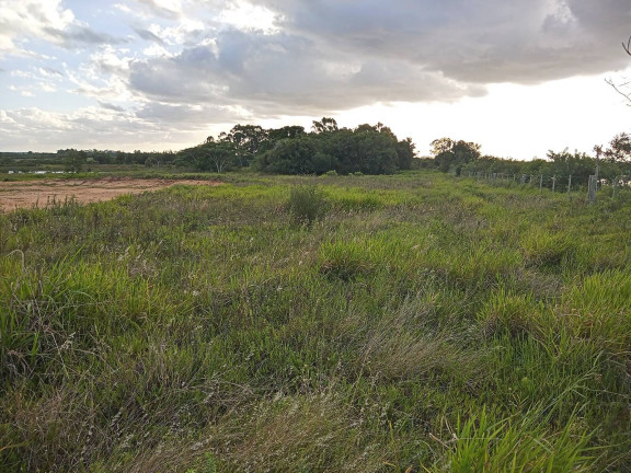 Imagem Chácara à Venda, 20.000 m² em águas Claras - Viamão