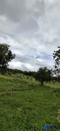 Imagem Fazenda à Venda, 37 m² em Zona Rural - Jussara Imagem Fazenda à Venda, 37 m² em Zona Rural - Jussara