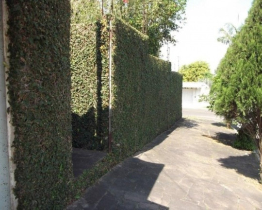 Imagem Casa com 3 Quartos à Venda, 160 m² em Santo Afonso - Novo Hamburgo Imagem Casa com 3 Quartos à Venda, 160 m² em Santo Afonso - Novo Hamburgo