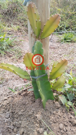 Imagem Imóvel à Venda, 2.000 m² em Chácara Itapoã - Jacareí Imagem Imóvel à Venda, 2.000 m² em Chácara Itapoã - Jacareí