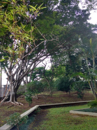 Imagem Apartamento com 3 Quartos à Venda, 78 m² em Jardim Independência - São Paulo Imagem Apartamento com 3 Quartos à Venda, 78 m² em Jardim Independência - São Paulo