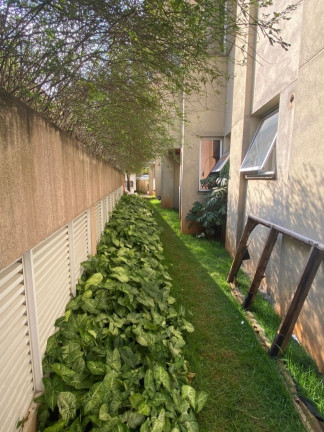 Imagem Imóvel com 3 Quartos à Venda, 100 m² em Vila Mariana - São Paulo