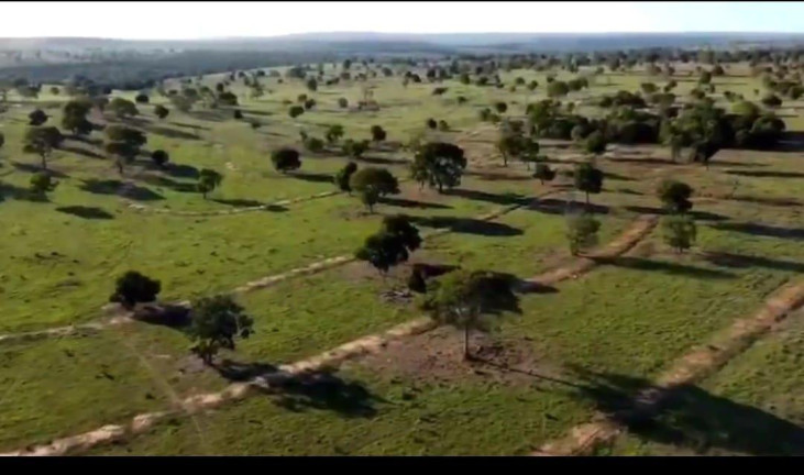 Imagem Fazenda à Venda, 4.534 m² em Rural - Camapuã