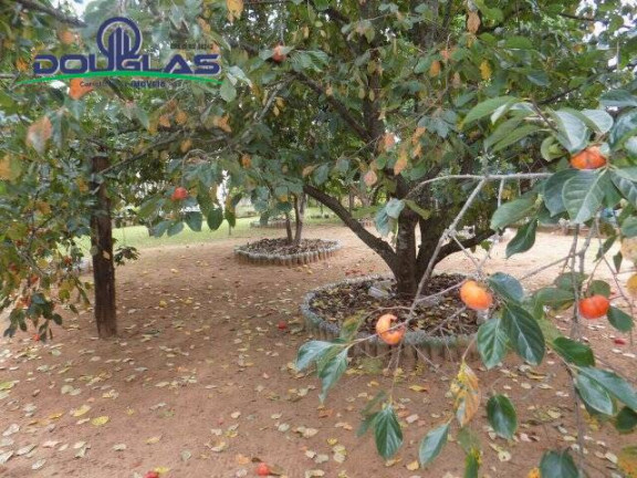 Imagem Casa com 2 Quartos à Venda, 2.400 m² em Viamão