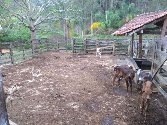 Imagem Fazenda à Venda, 600 m² em Lagoa - Paraibuna
