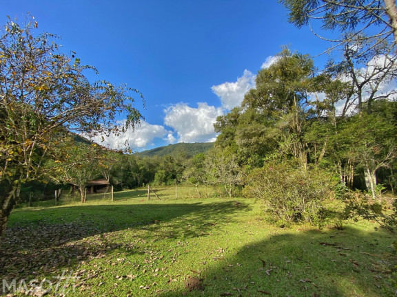 Imagem Chácara com 4 Quartos à Venda, 120.000 m² em Centro - Santa Maria Do Herval Imagem Chácara com 4 Quartos à Venda, 120.000 m² em Centro - Santa Maria Do Herval
